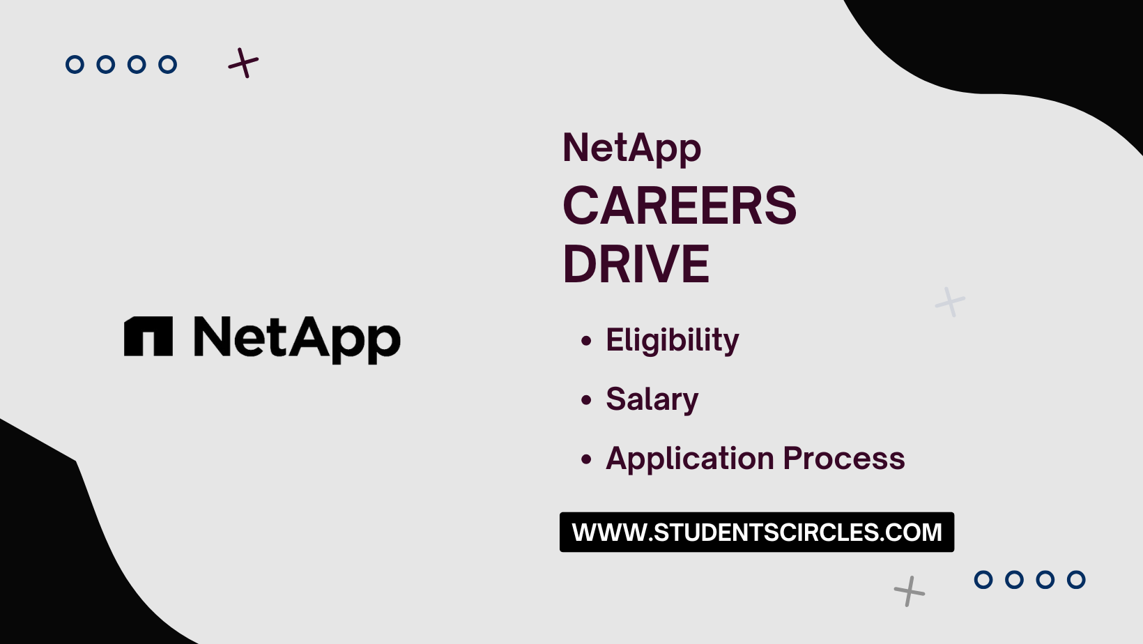NetApp Careers