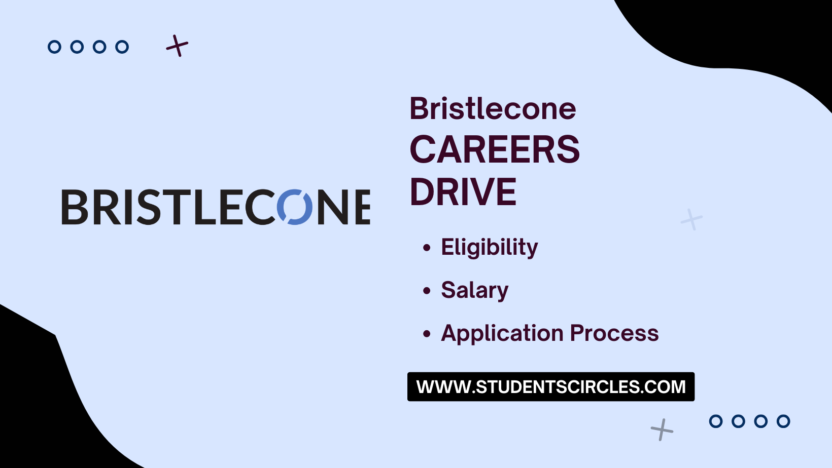 Bristlecone Careers