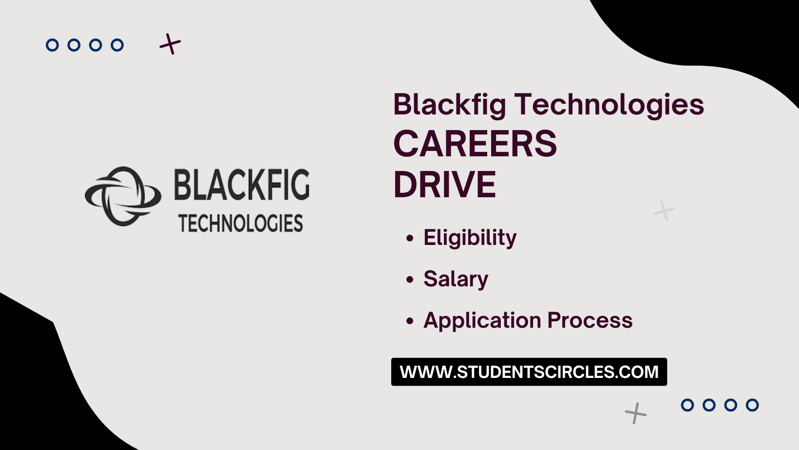 Blackfig Technologies Careers