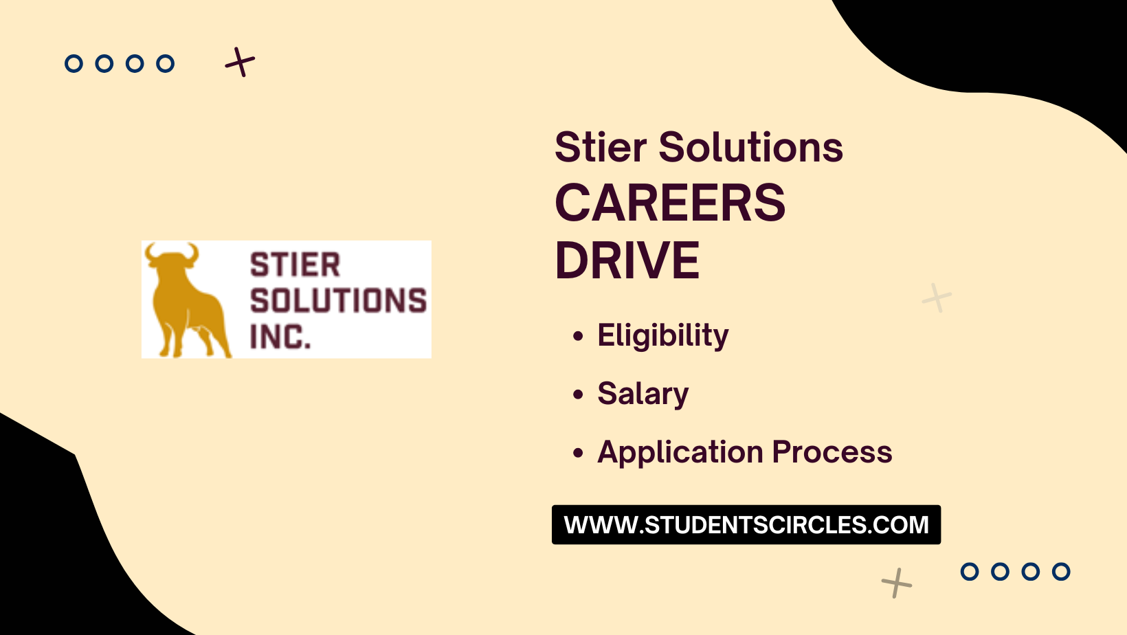 Stier Solutions Careers